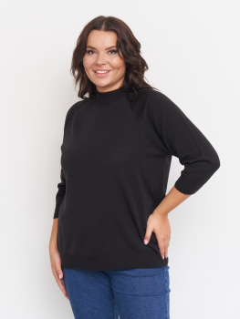 Водолазка (ZVD50151BLK01) Водолазка (ZVD50151BLK01)